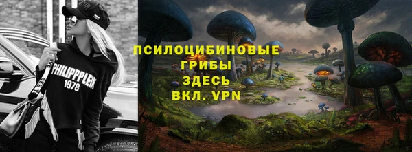 ПСИЛОЦИБИНОВЫЕ ГРИБЫ Алексеевка